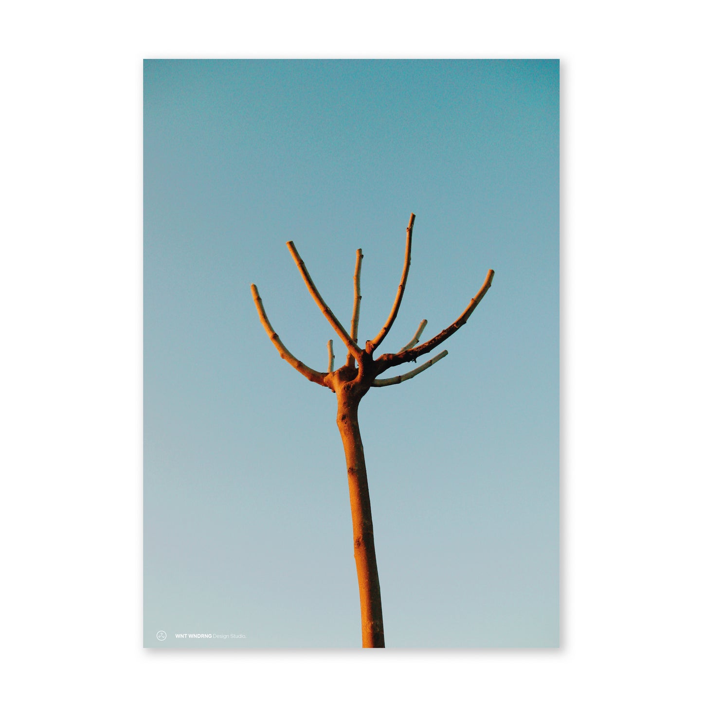 Arbre - Print